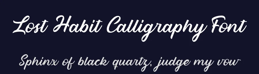 Lost Habit Calligraphy Font by Rantautype — Script Handwritten Font — thumbnail 2