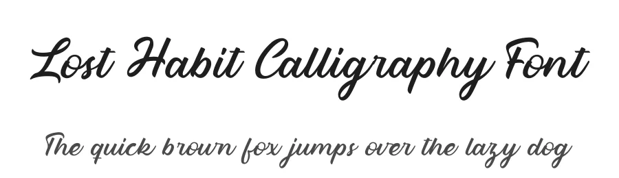 Lost Habit Calligraphy Font by Rantautype — Script Handwritten Font
