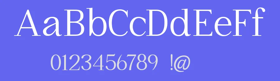 Lostyla Font by Icreatype — Serif Font — thumbnail 3