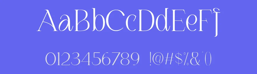 Louis Felligri Serif Font by Jolicia Type — Serif Font — thumbnail 3