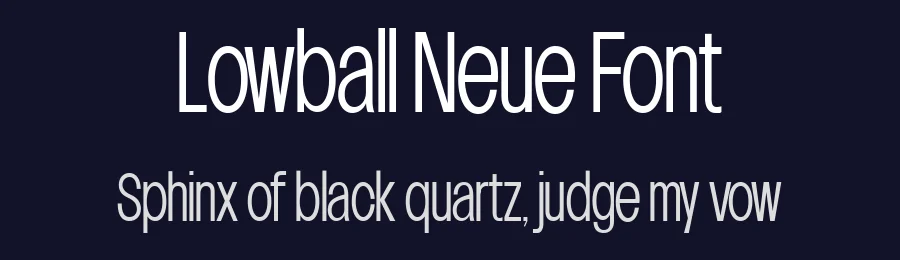 Lowball Neue Font by Quinn Davis Type — Sans Serif Font — thumbnail 2