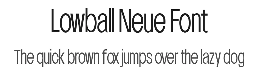Lowball Neue Font by Quinn Davis Type — Sans Serif Font