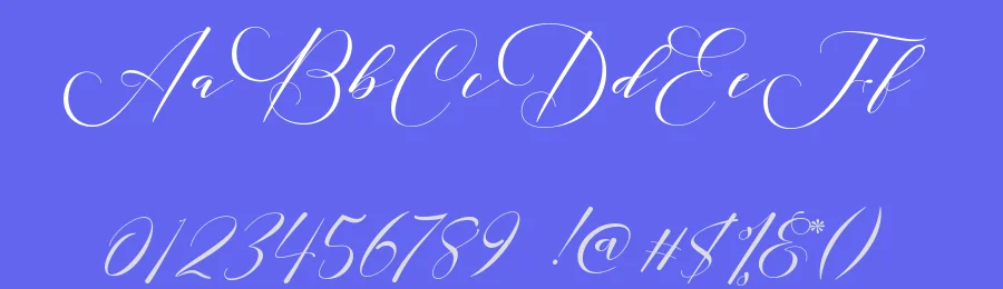 Lucinda Script Font by Areatype — Script Handwritten Font — thumbnail 3