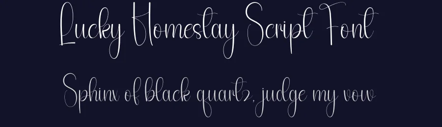 Lucky Homestay Script Font by andikastudio — Script Handwritten Font — thumbnail 2