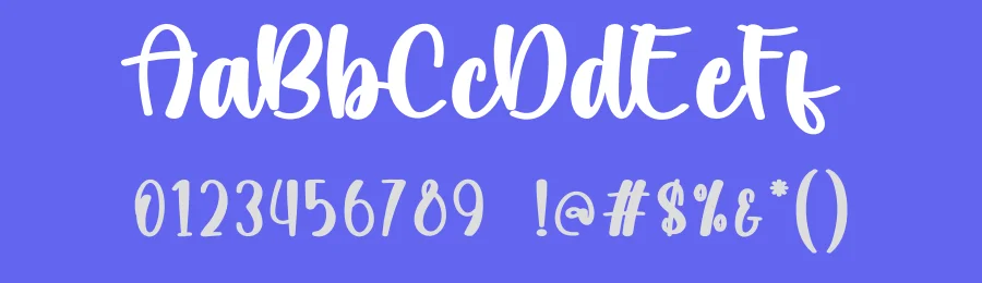 Lucky Party Script Font by creativeletter — Script Handwritten Font — thumbnail 3