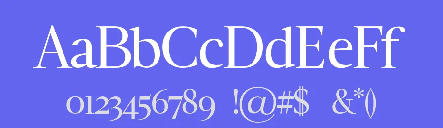 Luzia Font Family by Quill Type Co — Serif Font — thumbnail 3