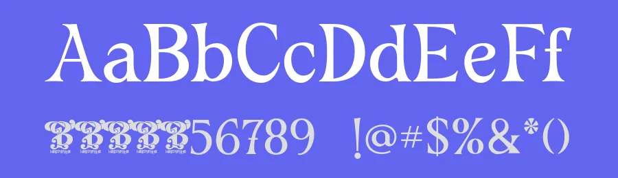 Mac Fragic Font by bearydsgn — Serif Font — thumbnail 3