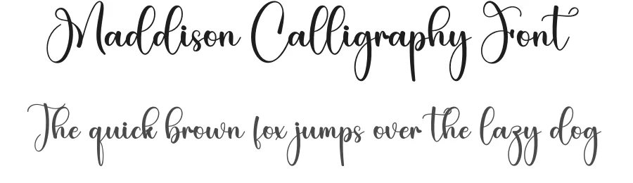 Maddison Calligraphy Font by creativeletter — Script Handwritten Font