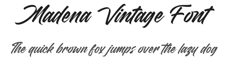 Madena Vintage Font by letterenastudios — Script Handwritten Font
