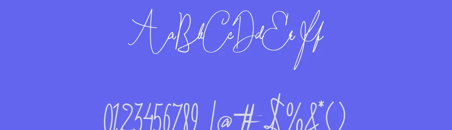 Mae Nitta Signature Font by deedeetype — Script Handwritten Font — thumbnail 3