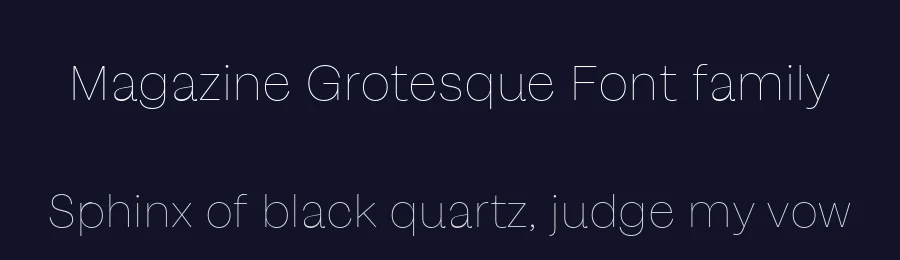 Magazine Grotesque Font family by Latinotype — Sans Serif Font — thumbnail 2