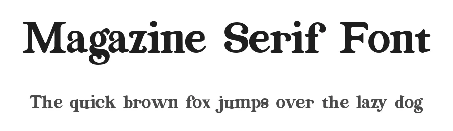 Magazine Serif Font by Nestype β Decorative Font