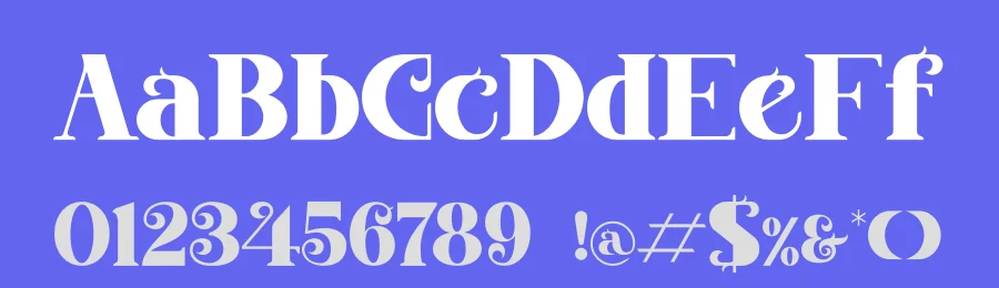 Magkon Classy Serif Font by Storytype — Serif Font — thumbnail 3