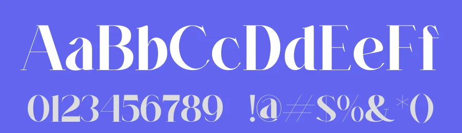 Maglin Font by zafira.type — Serif Font — thumbnail 3
