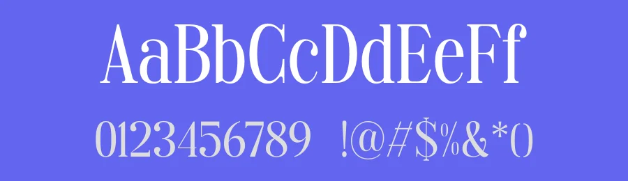 Magnefile Font by TypeLogue — Serif Font — thumbnail 3
