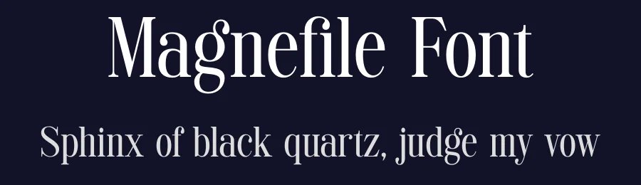 Magnefile Font by TypeLogue — Serif Font — thumbnail 2