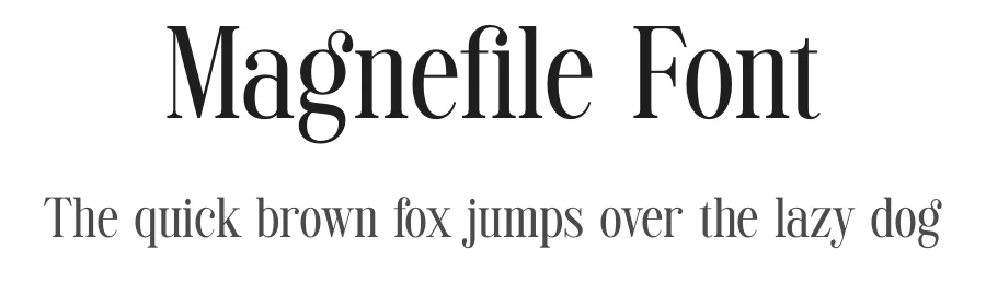 Magnefile Font by TypeLogue — Serif Font