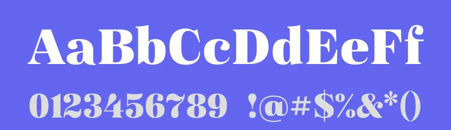 Magnel Display Font Family by Eimantas Paškonis — Serif Font — thumbnail 3