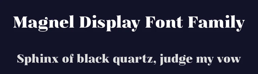 Magnel Display Font Family by Eimantas Paškonis — Serif Font — thumbnail 2