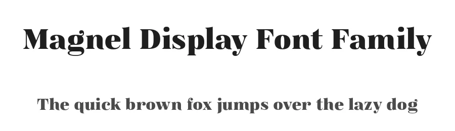 Magnel Display Font Family by Eimantas Paškonis — Serif Font