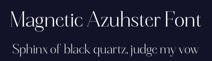 Magnetic Azuhster Font by letterenastudios — Serif Font — thumbnail 2