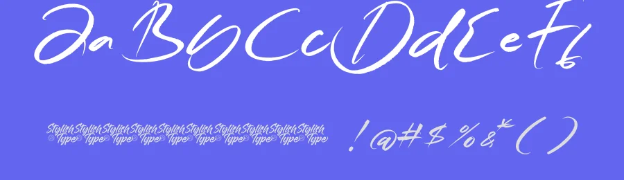 Magnetic Playback – Handbrush Script Font by stylishtype.co — Script Handwritten Font — thumbnail 3