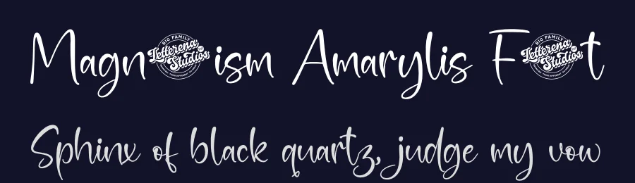 Magnetism Amarylis Font by letterenastudios — Script Handwritten Font — thumbnail 2
