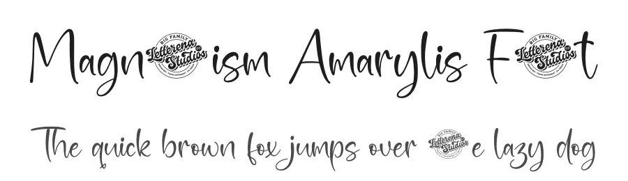 Magnetism Amarylis Font by letterenastudios — Script Handwritten Font