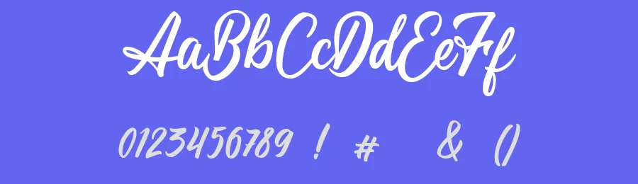 Magnifyco Brush Font by Creatype Studio — Script Handwritten Font — thumbnail 3