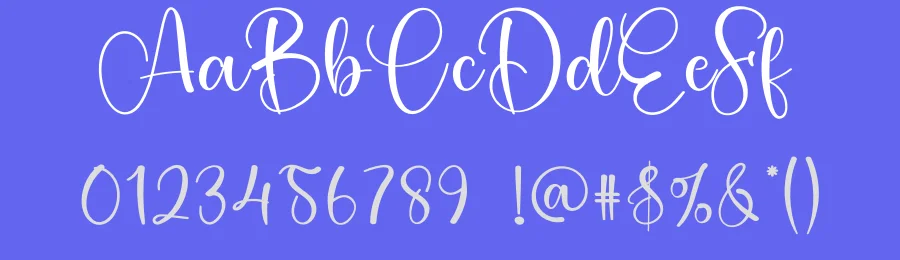 Magnolia Calligraphy Typeface by creativeletter — Script Handwritten Font — thumbnail 3