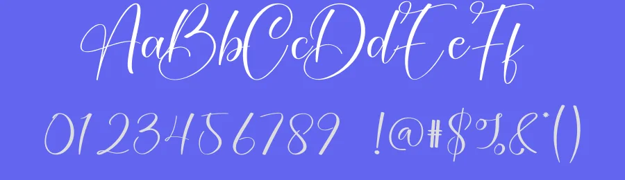 Magnolia Signature Script Font by creativeletter — Script Handwritten Font — thumbnail 3