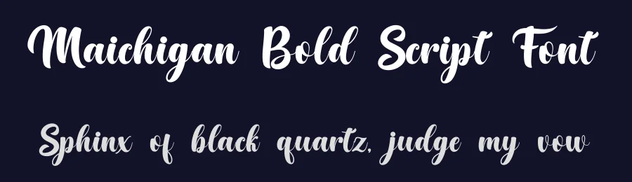 Maichigan Bold Script Font by Basnistudio — Script Handwritten Font — thumbnail 2