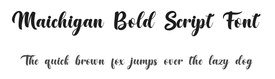 Maichigan Bold Script Font by Basnistudio — Script Handwritten Font