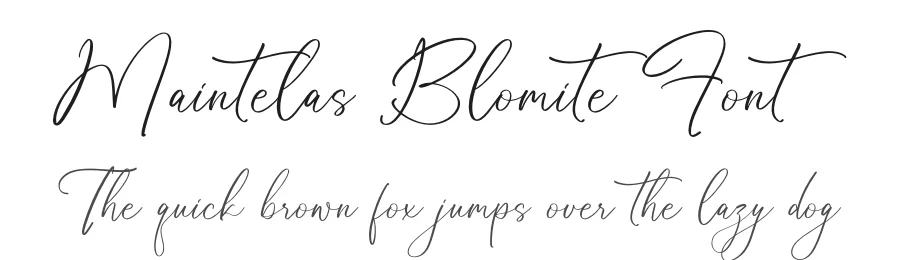 Maintelas Blomite Font by Storytype — Script Handwritten Font
