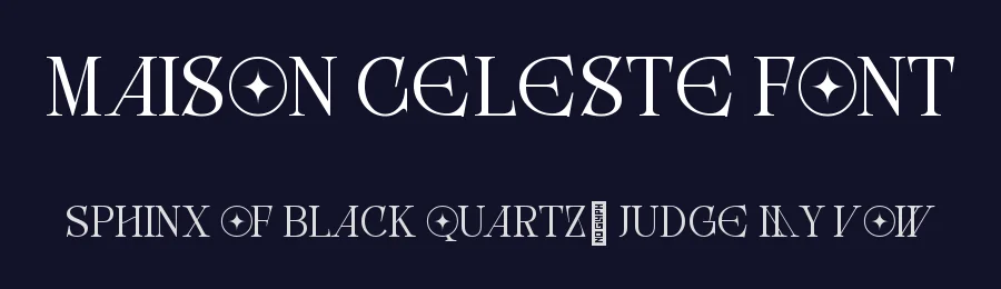Maison Celeste Font by sixtypefoundry — Serif Font — thumbnail 2