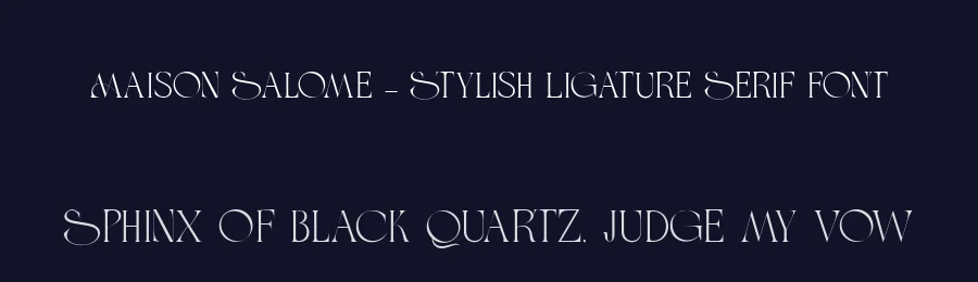 Maison Salome – Stylish Ligature Serif Font by zeenesia studio — Display Font — thumbnail 2