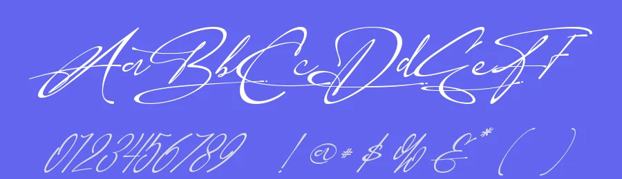 Maisonelle Font by Letterara Studio — Script Handwritten Font — thumbnail 3