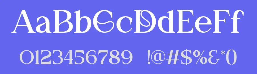 Makova || Modern Minimalist Serif Font by ErmediaStudio — Serif Font — thumbnail 3