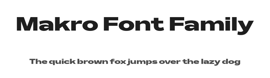 Makro Font Family by Tokotype — Decorative Font