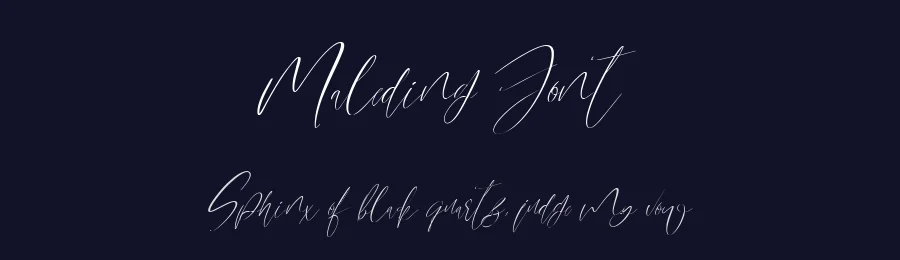 Maleding Font by metafontsy — Script Handwritten Font — thumbnail 2