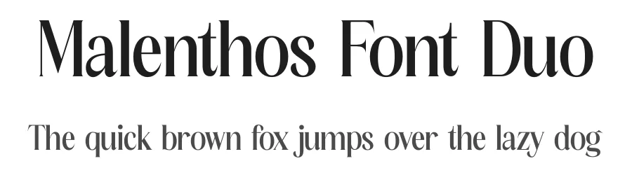 Malenthos Font Duo by Storytype — Serif Font