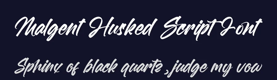 Malgent Husked Script Font by letterenastudios — Script Handwritten Font — thumbnail 2