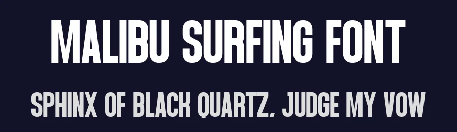 Malibu Surfing Font by Craftedtype — Decorative Font — thumbnail 2