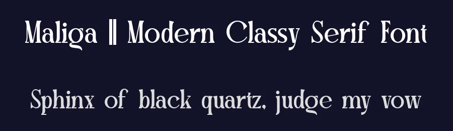 Maliga || Modern Classy Serif Font by ErmediaStudio — Display Font — thumbnail 2
