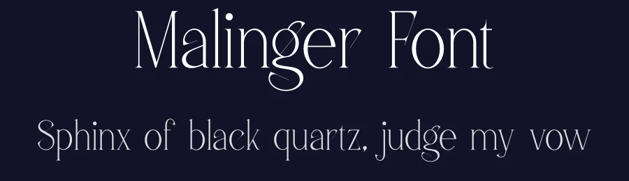 Malinger Font by vpcreativeshop — Serif Font — thumbnail 2