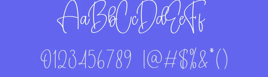 Malissa Calligraph Script Font by andikastudio — Script Handwritten Font — thumbnail 3