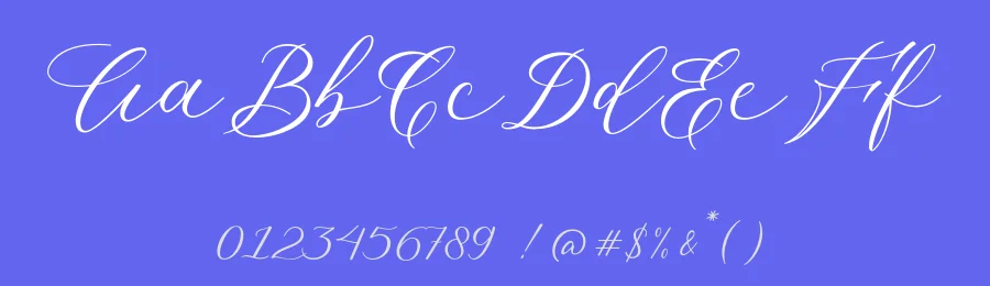 Malliandra Calligraphy Font by Letterhend Studio — Script Handwritten Font — thumbnail 3