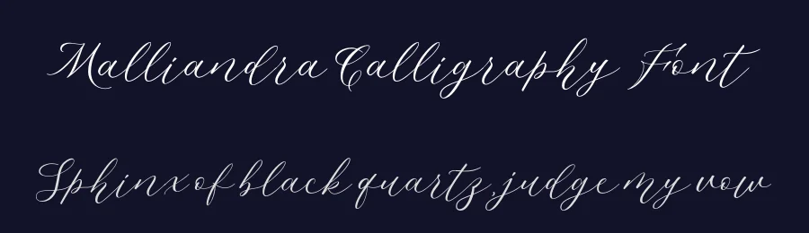 Malliandra Calligraphy Font by Letterhend Studio — Script Handwritten Font — thumbnail 2