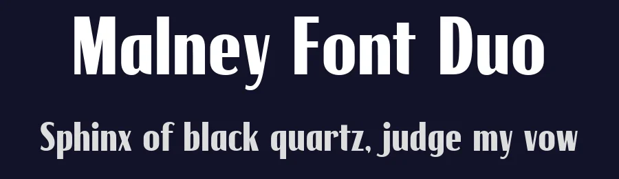 Malney Font Duo by Letterhend Studio — Sans Serif Font — thumbnail 2