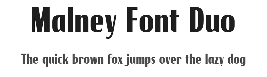 Malney Font Duo by Letterhend Studio — Sans Serif Font